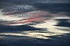 01060829d0217.jpg