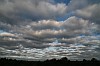 01060904d0222.jpg