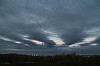 01061126d0056.jpg