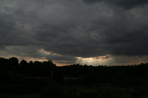 03050812d0116.jpg