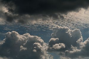 03060807d0111.jpg