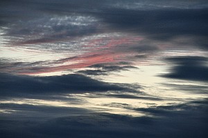 03060829d0217.jpg