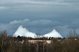 03061126d0052.jpg