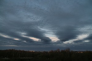 03061126d0056.jpg